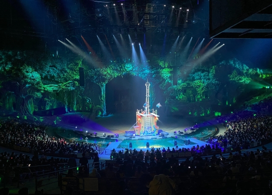 廣州長隆—國際大馬戲舞臺(tái)舞美包裝工程